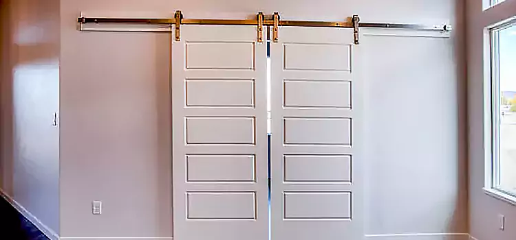 Glass Barn Door with Installation Hardware Kit Riverbank